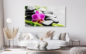 Obraz wellness zátiší s fialovou orchidejí - 100x50 cm