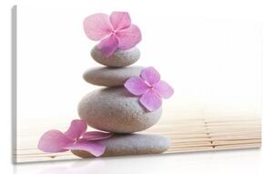 Obraz balanc kamenů a růžové orientální květy - 60x40 cm