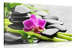 Obraz Spa zátiší s fialovou orchidejí - 60x40 cm