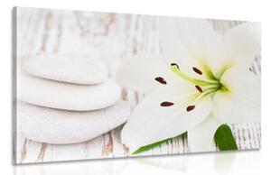 Obraz lilie a masážní kameny v bílém provedení - 60x40 cm