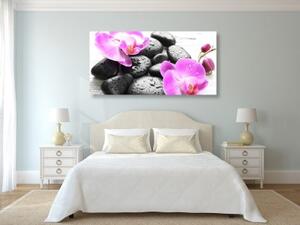 Obraz kouzelná souhra kamenů a orchideje - 100x50 cm