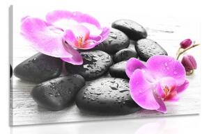 Obraz krásná souhra kamenů a orchideje - 90x60 cm