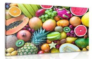 Obraz tropické ovoce - 120x80 cm