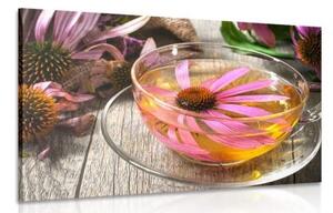 Obraz šálek bylinného čaje - 60x40 cm