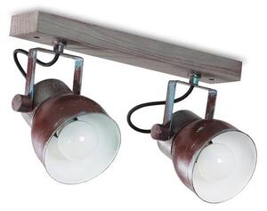 Stropní bodové svítidlo VIANA 2xE27/60W/230V