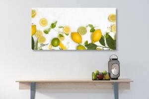Obraz mix citrusových plodů - 100x50 cm