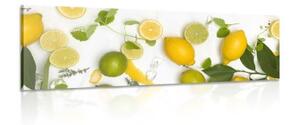 Obraz směs citrusových plodů - 135x45 cm