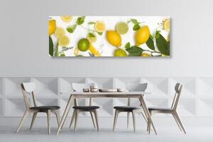 Obraz směs citrusových plodů - 120x40 cm