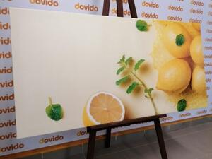 Obraz citrony s mátou - 100x50 cm