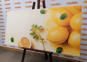 Obraz citrony s mátou - 100x50 cm