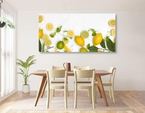 Obraz mix citrusových plodů - 100x50 cm