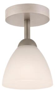 Přisazený lustr ADRIANO 1xE27/60W/230V - FSC certifikováno