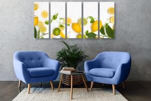 5-dílný obraz směs citrusových plodů - 100x50 cm