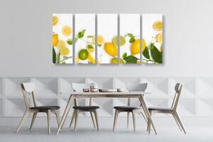 5-dílný obraz směs citrusových plodů - 100x50 cm