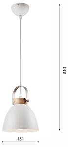 Lustr na lanku DANIELLE 1xE27/60W/230V