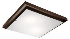 Stropní svítidlo 2xE27/60W/230V