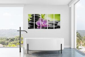 5-dílný obraz tropická Zen kompozice - 100x50 cm
