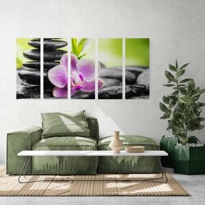 5-dílný obraz tropická Zen kompozice - 100x50 cm