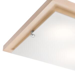 Stropní svítidlo 2xE27/60W/230V