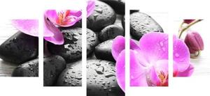 5-dílný obraz krásná souhra kamenů a orchideje - 100x50 cm