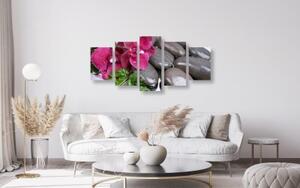 5-dílný obraz kvetoucí orchidej a wellness kameny - 100x50 cm