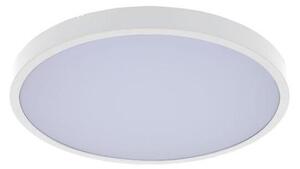 Rabalux 71427 - LED Koupelnové stropní svítidlo ALENZO LED/24W/230V IP44 bílá