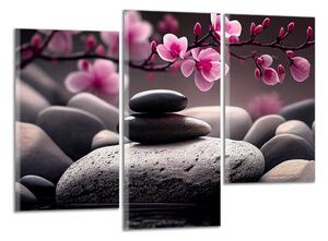 Obraz na plátně Růžové květy a zen kameny