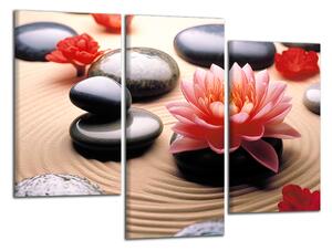 Obraz na plátně Květ a zen kameny
