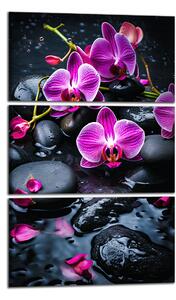 Moderní obraz Fialové orchideje na kamenech