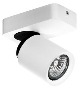 Azzardo AZ0662 - Bodové svítidlo TOMI 1xGU10/50W/230V