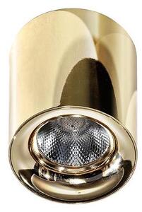 Azzardo AZ2846 - LED Stropní svítidlo MANE LED/10W/230V