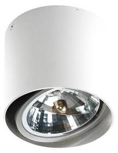 Azzardo AZ1356 - Stropní svítidlo ALIX 1xG53/50W/230V/12V