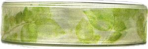 Stuha taftová DREAM GARDEN zelená transparentní 25mm x 20m (7,-Kč/m)