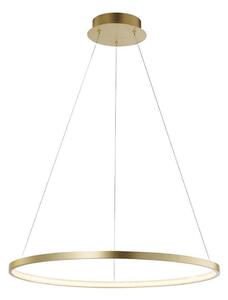 Leuchten Direkt 11524-12 - LED Lustr na lanku CIRCLE LED/28,5W/230V