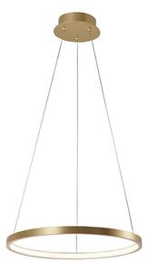 Leuchten Direkt 11522-12 - LED Lustr na lanku CIRCLE LED/19W/230V