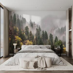 Fototapety Atmosférický mlhavý borový les v horách, Fototapety příroda, w09463 : uwalls.cz