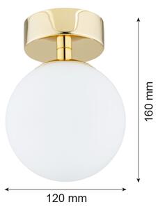 Argon 4004 - Koupelnové stropní svítidlo FLAVIO 1xE14/7W/230V IP44