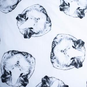 Jerry Fabrics Bavlněné povlečení 3D fototisk 140x200 + 70x90 cm - Morče