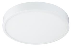 Globo 12364-30 - LED Stmívatelné stropní svítidlo LED/28W/230V
