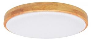 Brilagi - LED Stmívatelné stropní svítidlo PINE LED/60W/230V + dálkové ovládání