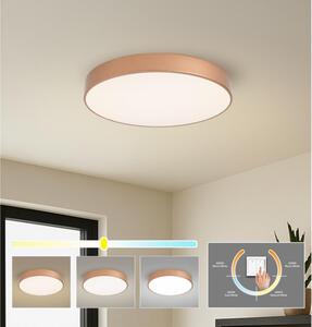 Brilagi - LED Stropní svít. POOL LED/60W/230V 3000/4000/6000K pr. 50 cm bronzová