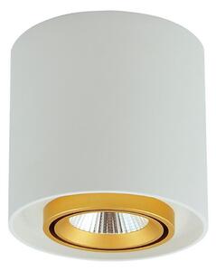 LED Bodové svítidlo XENO LED/15W/230V bílá 1200lm