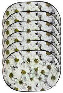 Numberoplus 6 ks v balení podložky na stůl květiny bílá chryzantéma