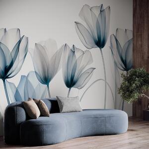 Fototapety Průsvitné modré a bílé tulipány s dlouhými stonky na světlém pozadí, jemné a strukturované, Fototapety květiny, w09538 : uwalls.cz