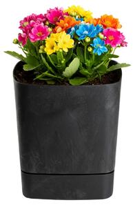 PLASTOVÝ KVĚTINÁČ CUBI 19X21 CM IMITACE BETONU ČERNÁ