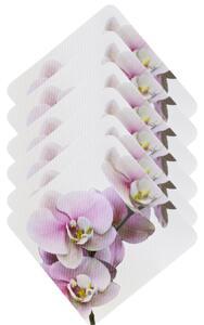 Numberoplus Podložky letní pod hrnek - Orchidej ( 12 ks v balení )