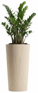 PLASTOVÝ KVĚTINÁČ URBANIKA ECO 36,5X19,5 CM LATTE