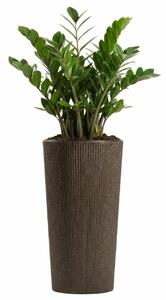 PLASTOVÝ KVĚTINÁČ URBANIKA ECO 36,5X19,5 CM TMAVĚHNĚDÁ