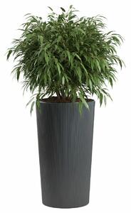 PLASTOVÝ KVĚTINÁČ URBANIKA ECO 75X41 CM ANTRACITOVÁ
