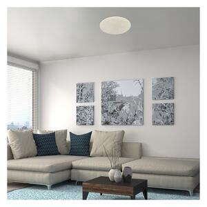 Rabalux 5540-LED Stmívatelné stropní svítidlo DAMIEN LED/24W/230V Wi-Fi +DO
